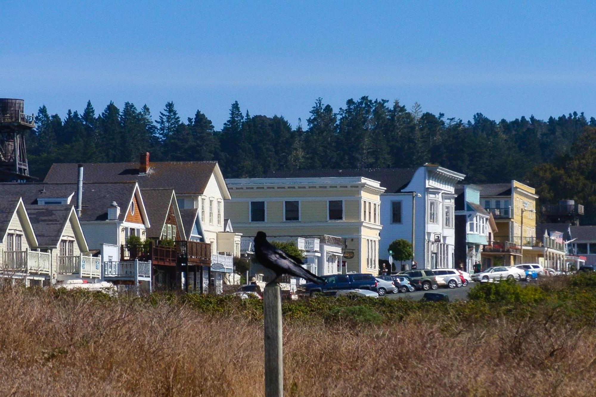Mendocino Redwood Retreat - Vista Home Albion Buitenkant foto