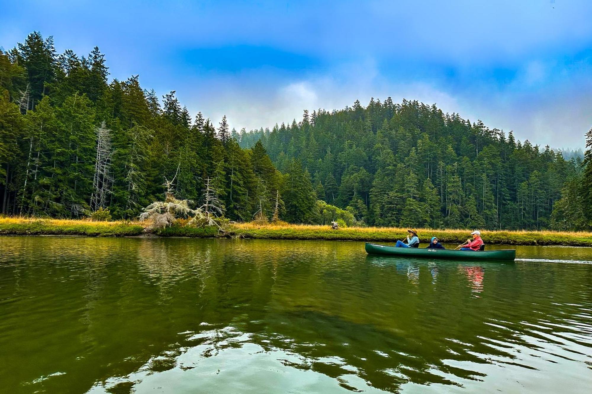 Mendocino Redwood Retreat - Vista Home Albion Buitenkant foto